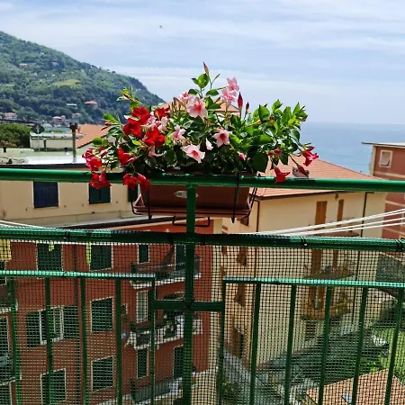 Ermes * Levanto